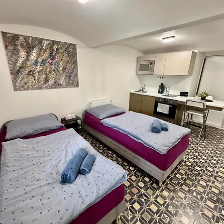 Apartamento Palac Anezka A1 Brno