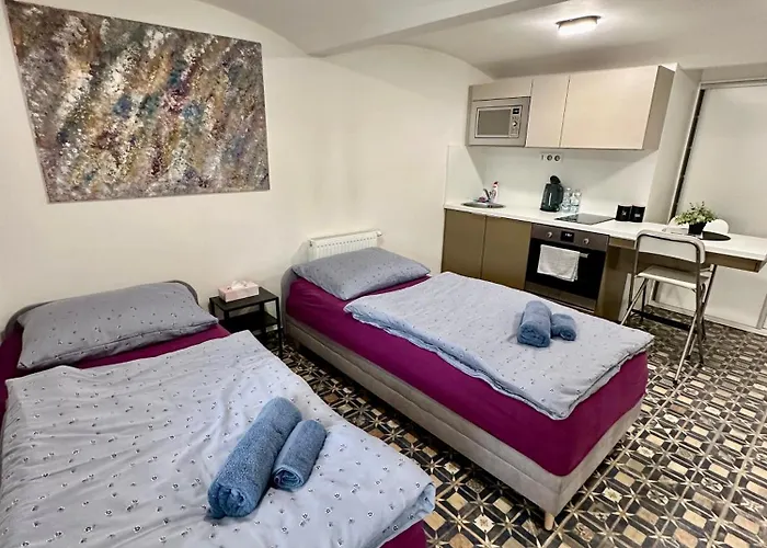 Apartamento Palac Anezka A1 Brno